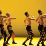 Exposição visa conscientizar sobre o risco de extinção das onças