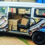 Força feminina no Graffiti chega ao Cine Petra Belas Artes