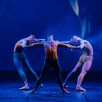 Wicked: o musical sucesso de público sobre o respeito às diferenças