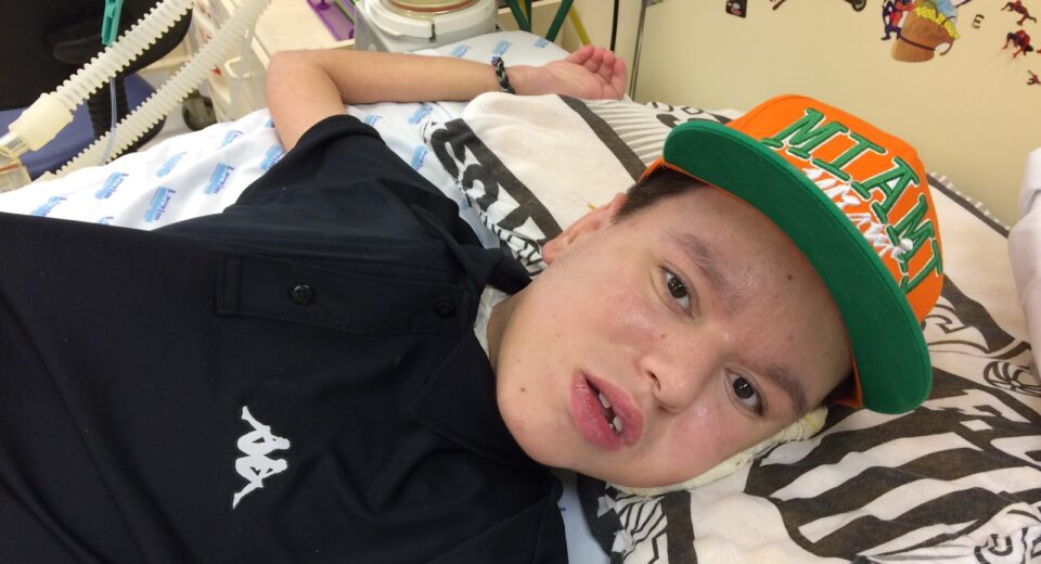 Divulgação - Viva e Deixe Viver