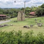 Theatro Municipal abre temporada lírica com “O Amor das Três Laranjas”